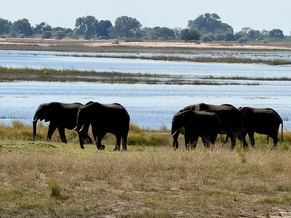 Nata – Chobe Nemzeti Park – Kasane  (436 km, ebből 56 km off-road) / Afrika Expedíció 2026’ – 7. nap