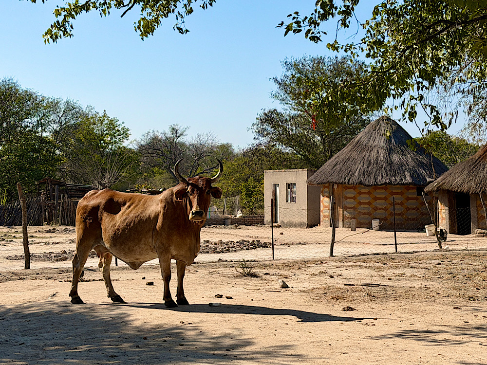 Bulawayo – Matobo Nemzeti Park – Gwanda – Beitbridge – Musina (380 km , ebből 60 km off-road) / Afrika Expedíció 2026’ – 10. nap