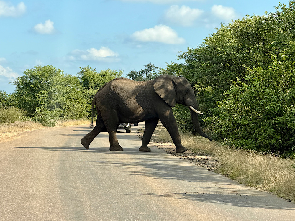 Musina – Kruger Nemzeti Park – Kampersrus (565 km, ebből 80 km off-road) / Afrika Expedíció 2026 – 11. nap